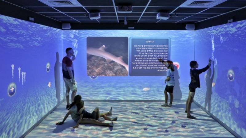 מחבקים את אקים חיפה: חודש ההתרמה יוצא לדרך