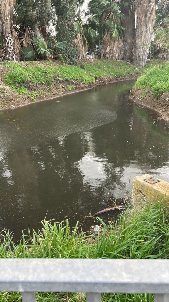 תעלת הניקוז בבת גלים שהפכה למטרד תברואתי | צילום: יסמין שמחון