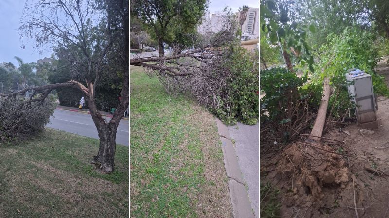 מנזקי הסופה בקרית מוצקין | צילום: דוברות העירייה
