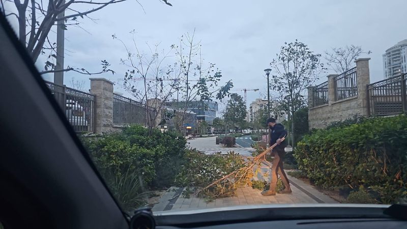 פינוי ענפים שקרסו בקרית מוצקין | צילום: דוברות העירייה