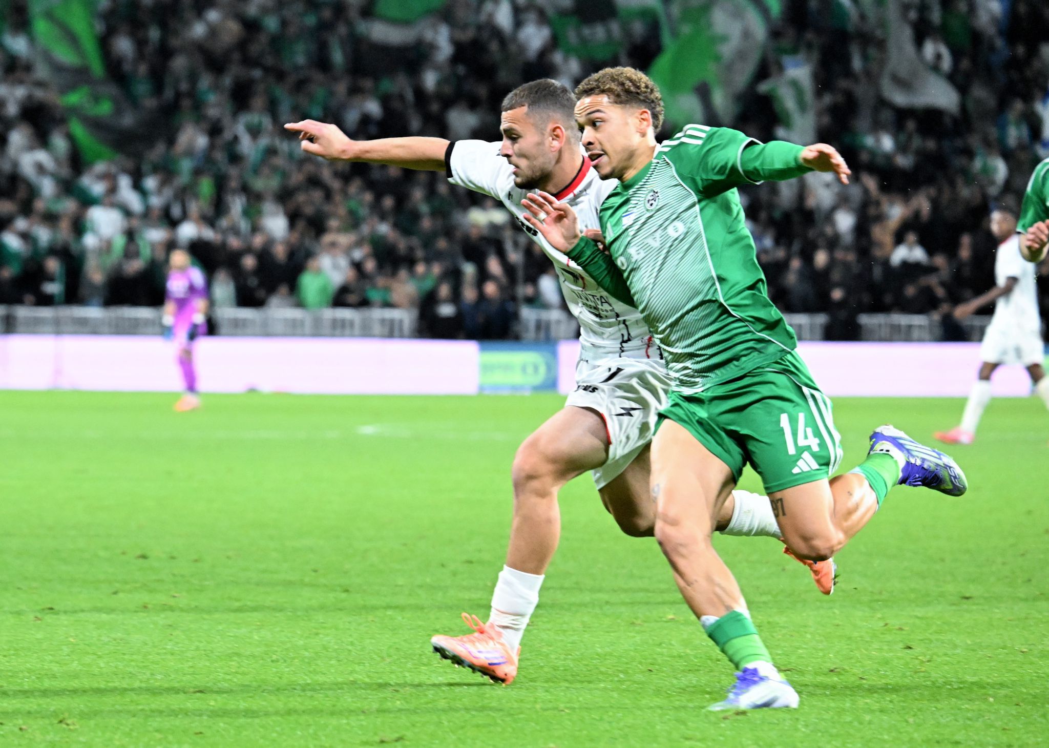 מכבי חיפה תציע: הגרלה בין סמי עופר לבלומפילד