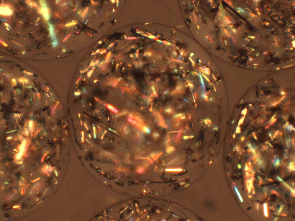 קפסולות הגבישים | צילום: ד