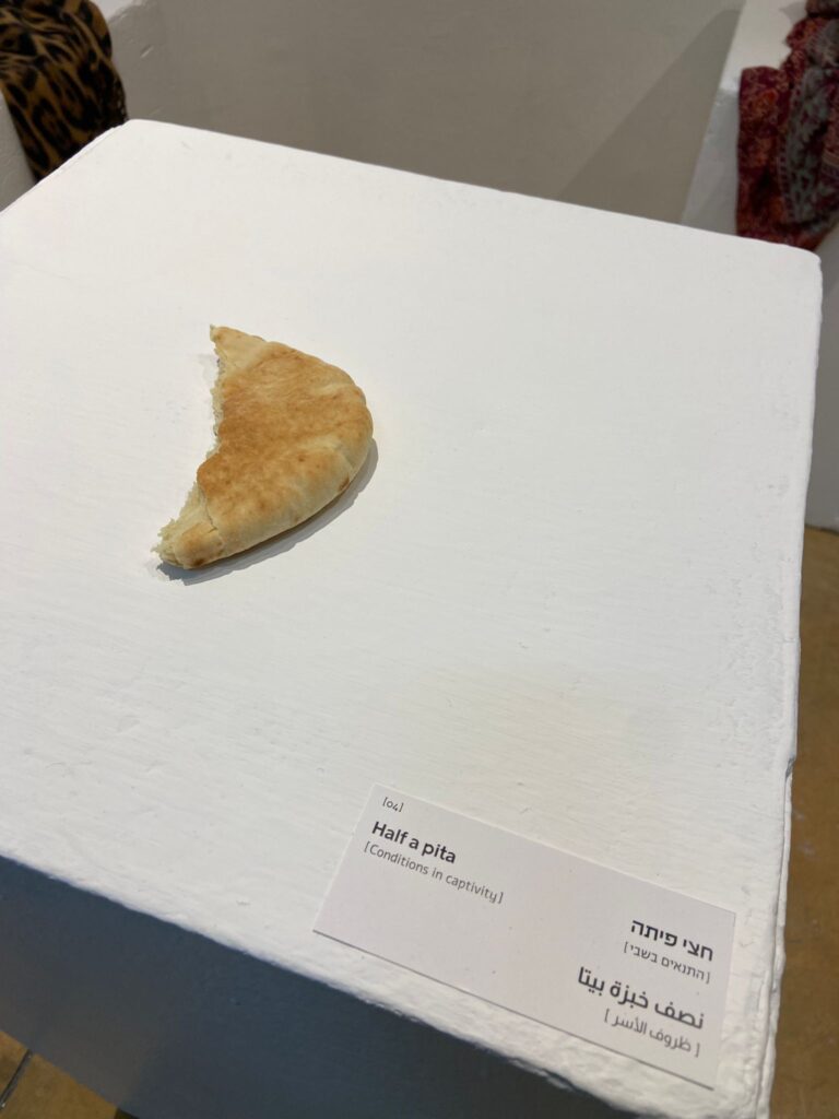 חצי פיתה, מתוך פרויקט 