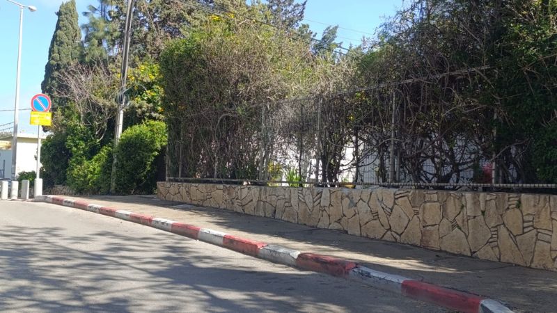 המדרכה הצרה ברחוב בועז 5-3, כרמליה והעמודונים בהמשך הרחוב | צילום: אלבום פרטי