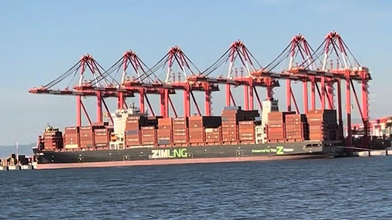 עובדי צים פתחו בשביתה: 