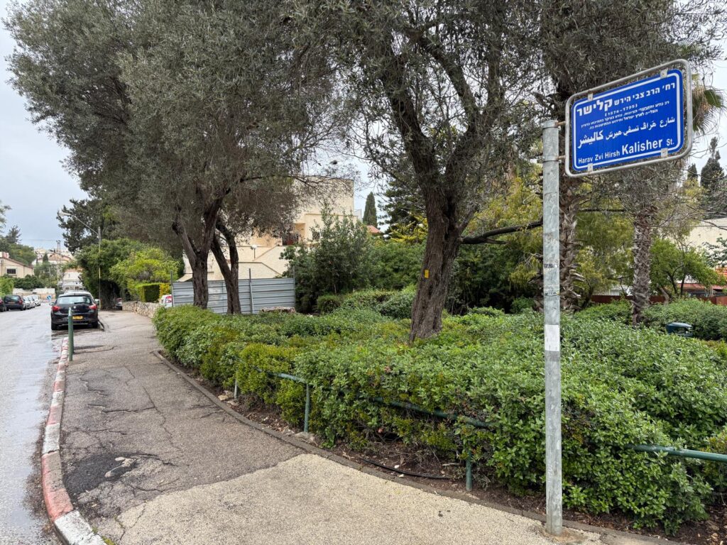 רחוב קלישר בנווה שאנן | צילום: חגית הורנשטיין