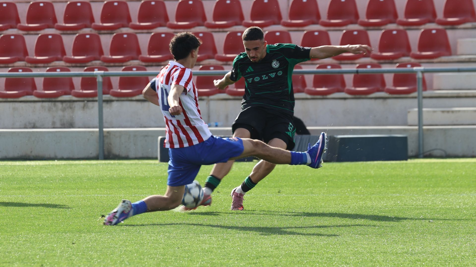עשו כבוד: מכבי חיפה הודחה ע