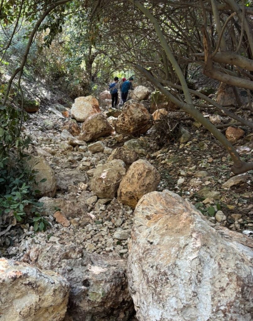 סלעים שהתדרדרו. אפיק לוטם, מתחת לרחוב עובדיה | צילום: דניאל פרג 37 37א