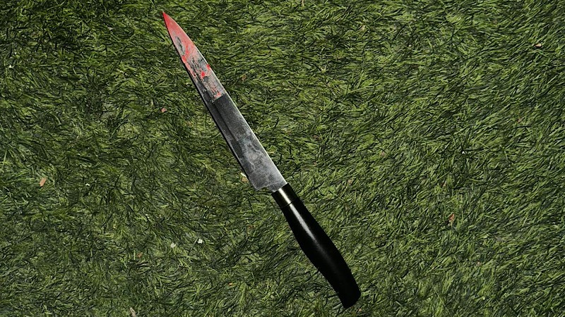 פוענח רצח הגבר בהדר: נגד בת זוגו יוגש כתב אישום חמור