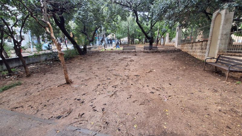 השטח בו היתה גינת הכלבים ברחוב בלפור 2, הדר | צילום: עומר מוזר