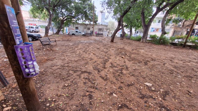 הגינה פורקה לאחר פשרה משפטית, והתושבים בהדר נשארו בלי גינת כלבים 