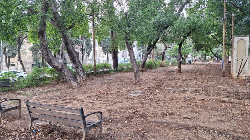 השטח בו היתה גינת הכלבים ברחוב בלפור 2, הדר | צילום: עומר מוזר