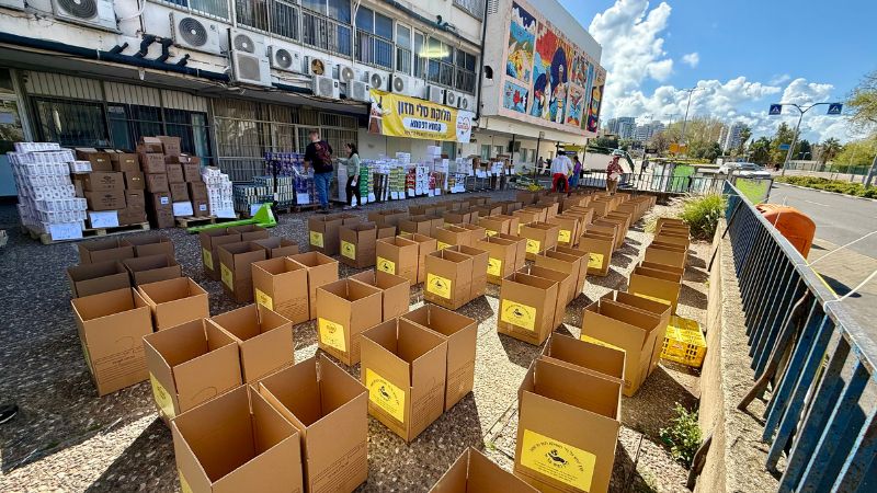 קופסאות הקרטון לפני ההאריזה | צילום: אבריימקה אייזנשטיין