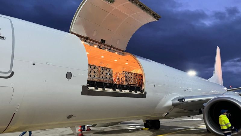 האריות בבטן מטוס אל על | צילום: אתו