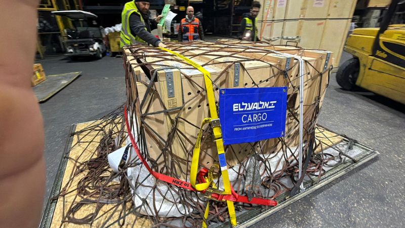 מטען עם האריות נוחת בישראל | צילום: אתו