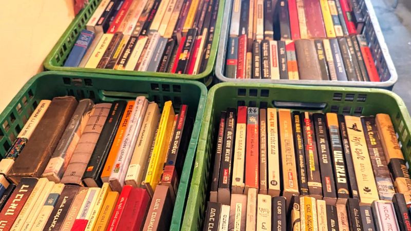 מחלק ספרים במקום לזרוק: פסטיגולדמונד חוזר עם אלפי ספרים בחינם