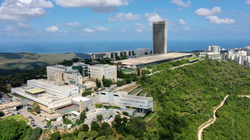 אוניברסיטת חיפה | צילום: דוברות האוניברסיטה
