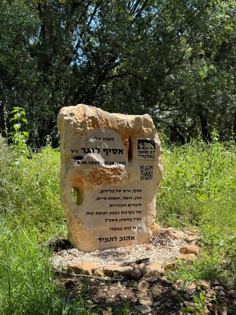 לזכר אסיף לוגר, האבן שנמצאת בנקודה בה מתחיל שביל ישראל | צילום: חגית הורנשטיין