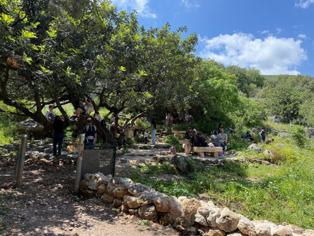 אחת מפינות החמד בקפה אסיף | צילום: חגית הורנשטיין