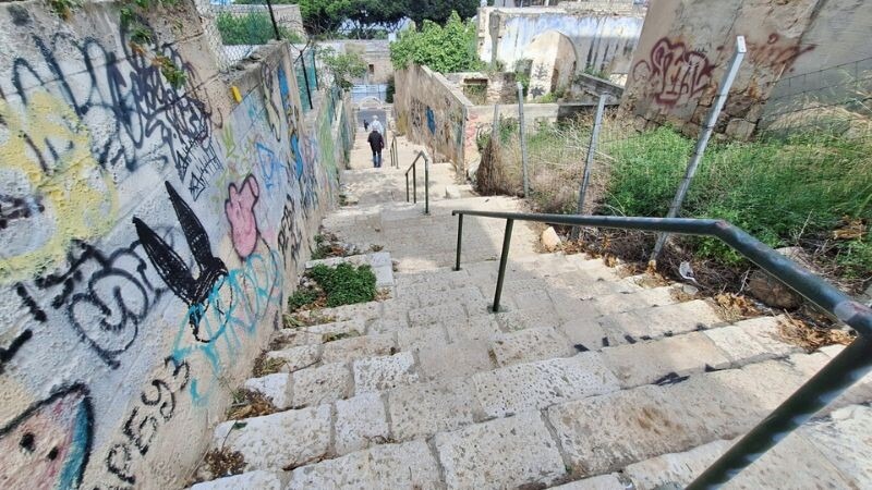 ואדי סאליב | צילום: עומר מוזר