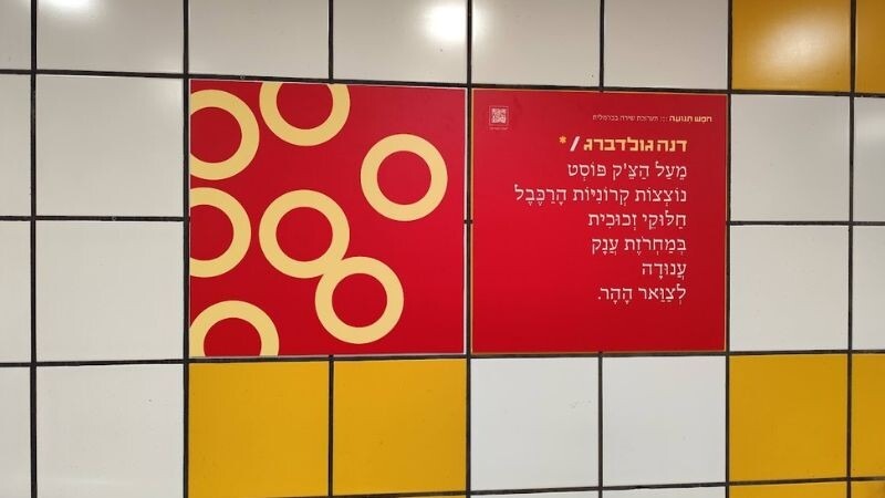 דנה גולדברג. 