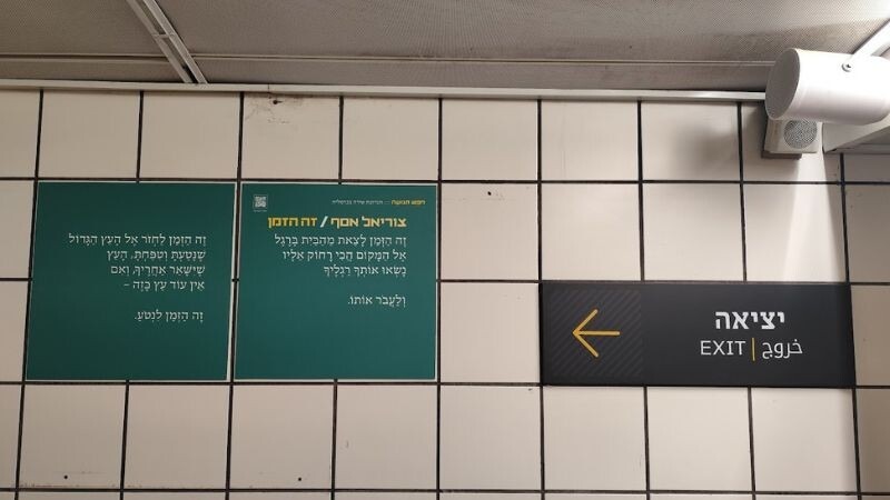 צוריאל אסף. 