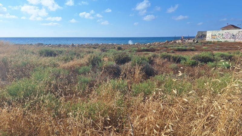 השטח שמעבר לגדר, אותו מבקשים תושבי השכונה לפתוח לציבור | צילום: עומר מוזר