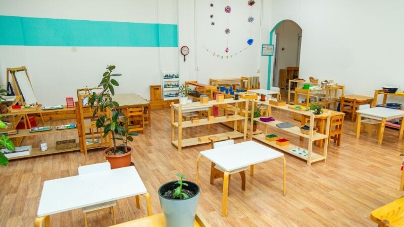 פשפשים, ברחשים וריח חריף של פגר: הורי ילדי גן סתוונית נגד העירייה