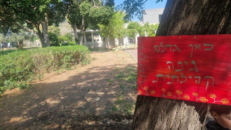 הגינה הקהילתית בקרית אליעזר | צילום: פעילי הגינה הקהילתית