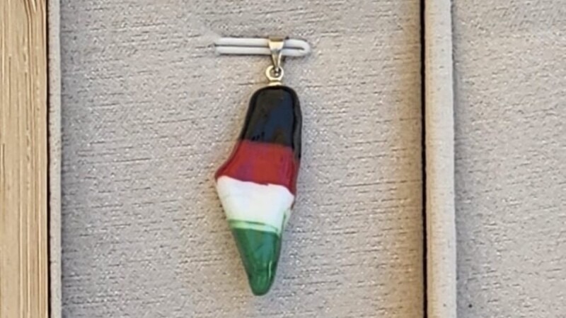 תליון בצבעי דגל פלסטין הוצג למכירה באירוע רשמי בטכניון