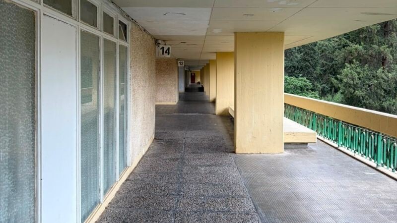 ליאון בלום 24-4 | צילום: בן מיכאל פרנקל