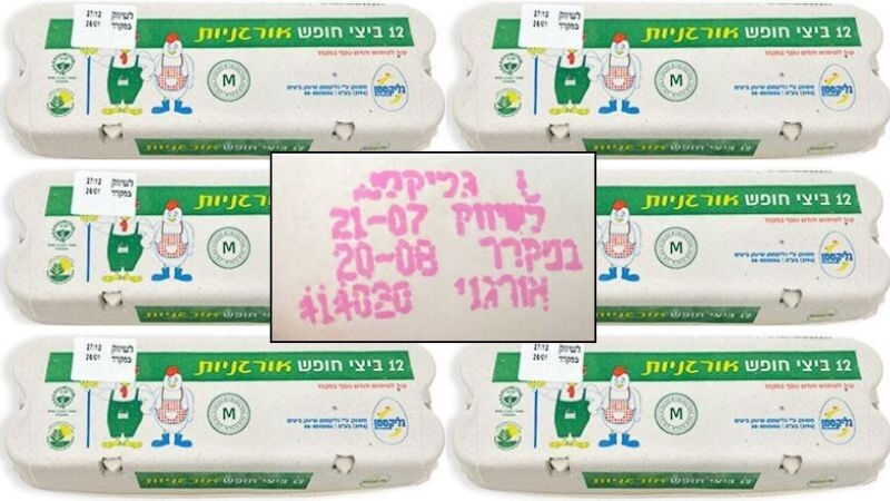12 ביצי חופש אורגניות המשווקות על ידי חברת גליקסמן בע