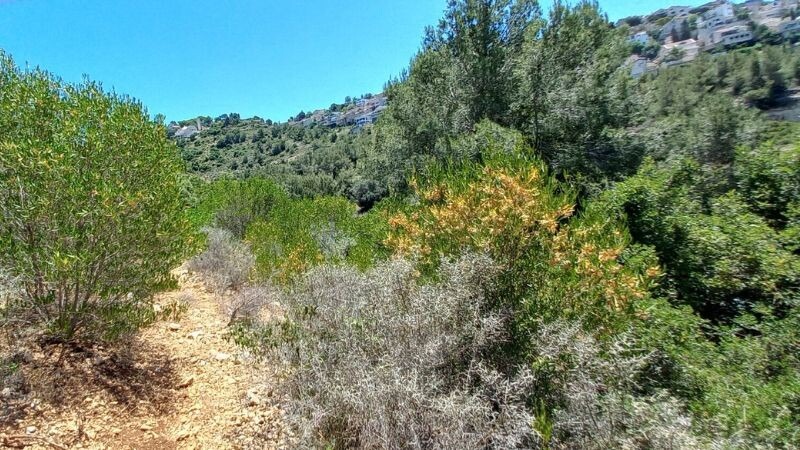 ואדי עובדיה | צילום: איתמר רוטלוי, ויקישיתוף