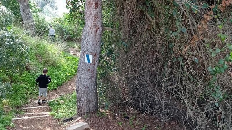 מסלול מסומן בוואדי עובדיה | צילום: דוברות עיריית חיפה