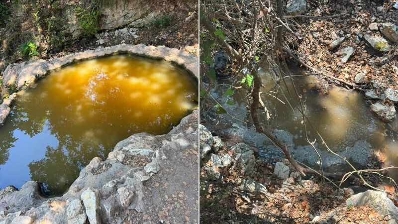 מי ביוב זורמים אל עין אחוזה | צילום: אלי דרייפוס