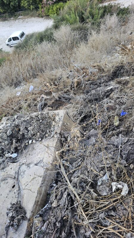 הנזק שנגרם לנחל שיח בעקבות זרימת מי הביוב | צילום: אביהו האן